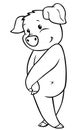 Coloring pages: farm animals. Little cute shy pig stands and smiles. Royalty Free Stock Photo